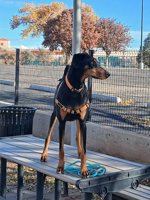 Cottonwood Mall Dog Park 10
