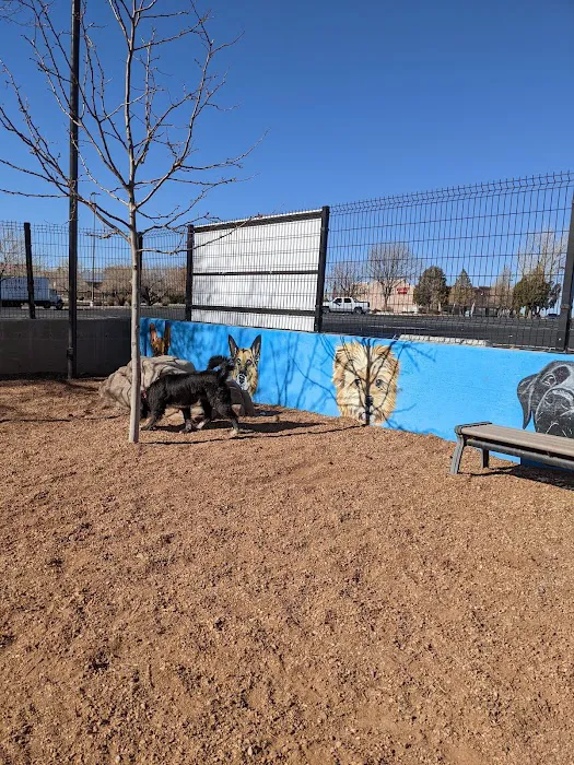 Cottonwood Mall Dog Park 9