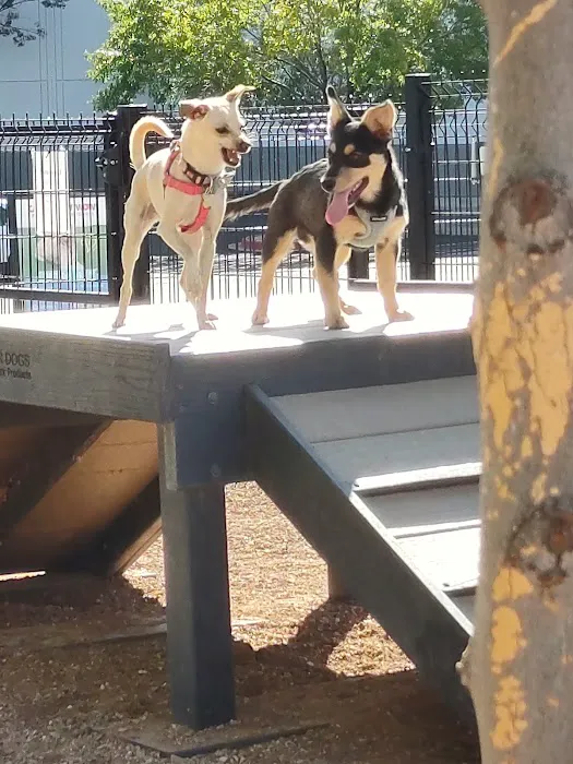 Cottonwood Mall Dog Park 1