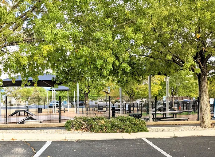 Cottonwood Mall Dog Park 8