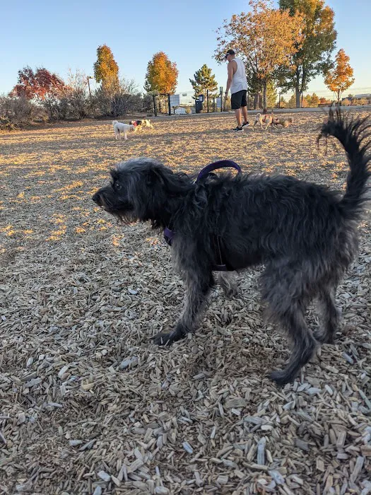 North Domingo Baca Dog Park 4