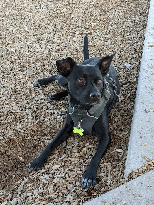North Domingo Baca Dog Park 3