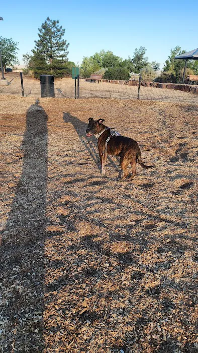 North Domingo Baca Dog Park 7