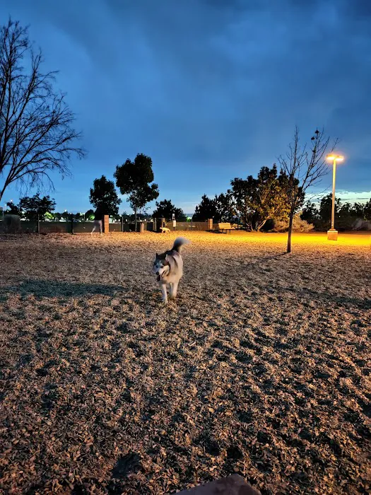 North Domingo Baca Dog Park 6