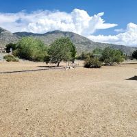 Skyline Dog Park ico
