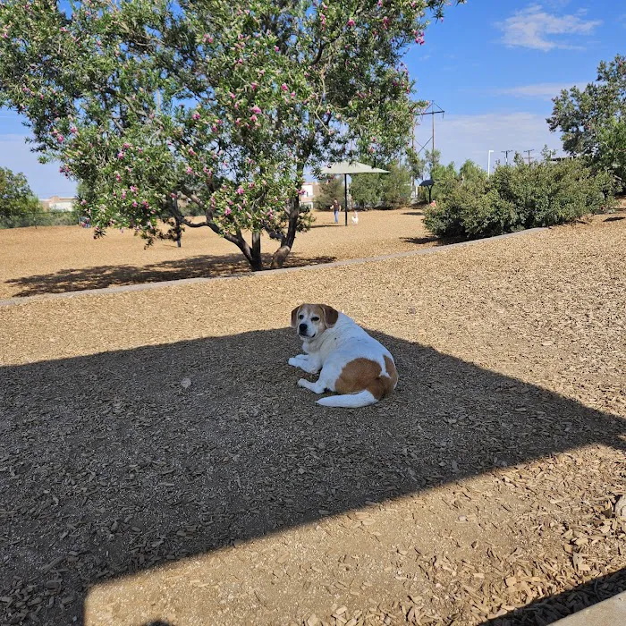 Skyline Dog Park 3