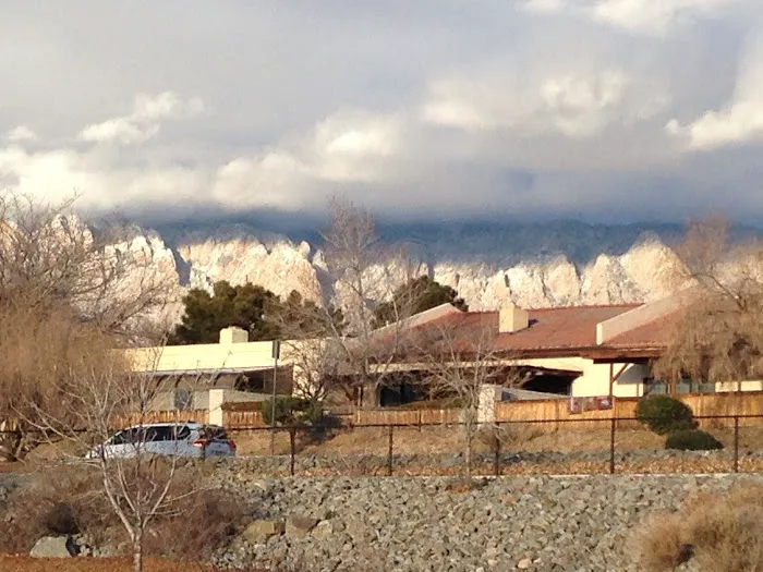 Skyline Dog Park 7
