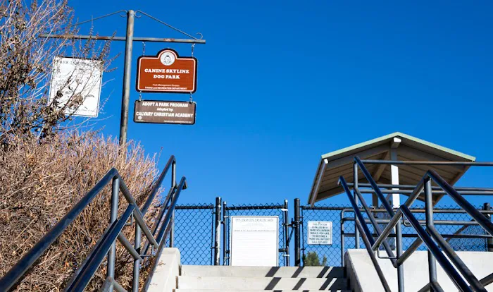 Skyline Dog Park 2