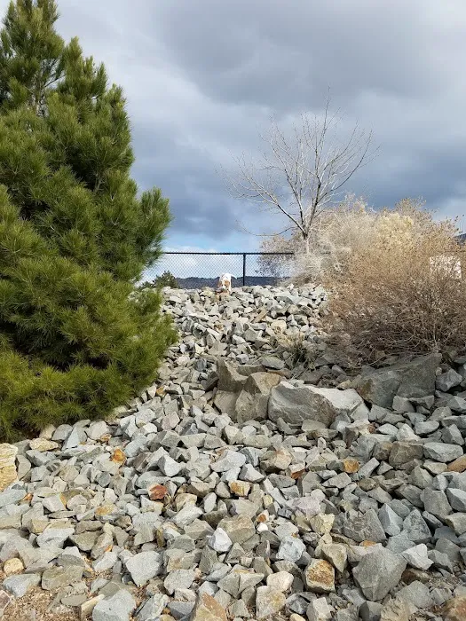 Skyline Dog Park 4