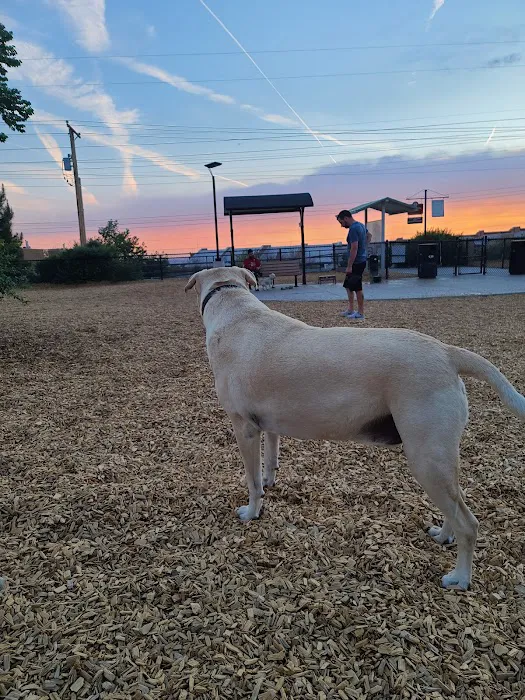 Skyline Dog Park 6