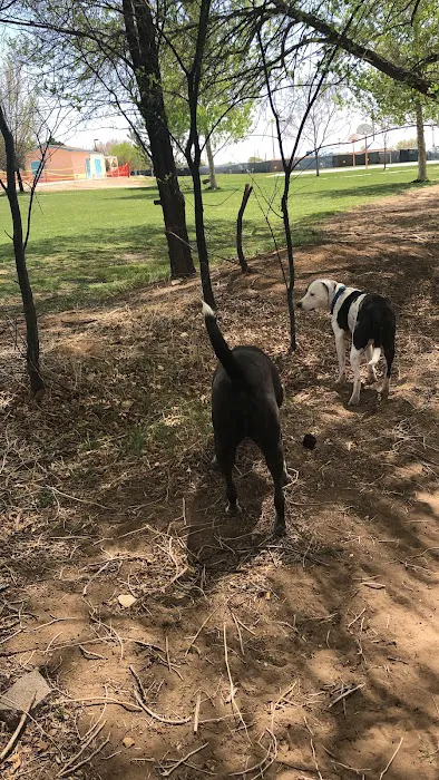 Rainbow Dog Park Parking 6