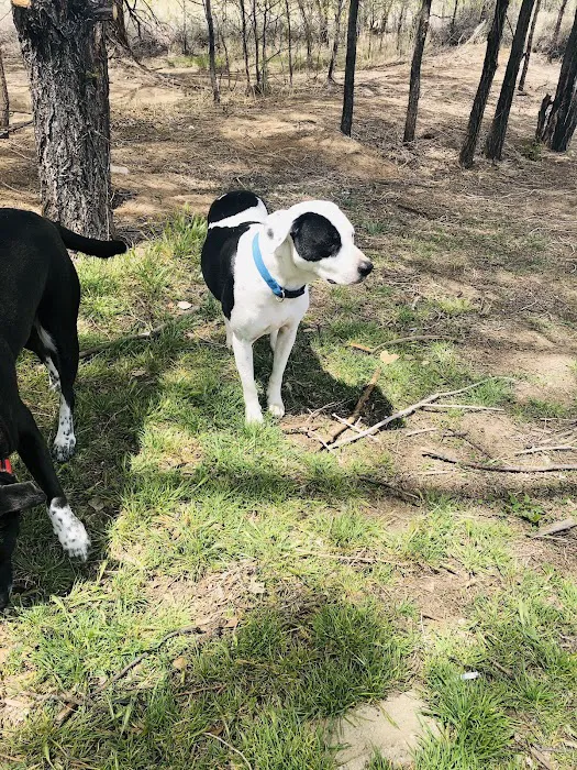 Rainbow Dog Park Parking 10