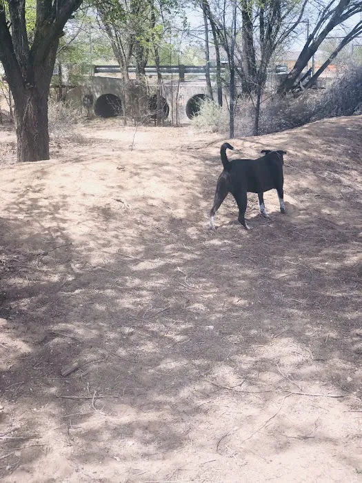 Rainbow Dog Park Parking 5