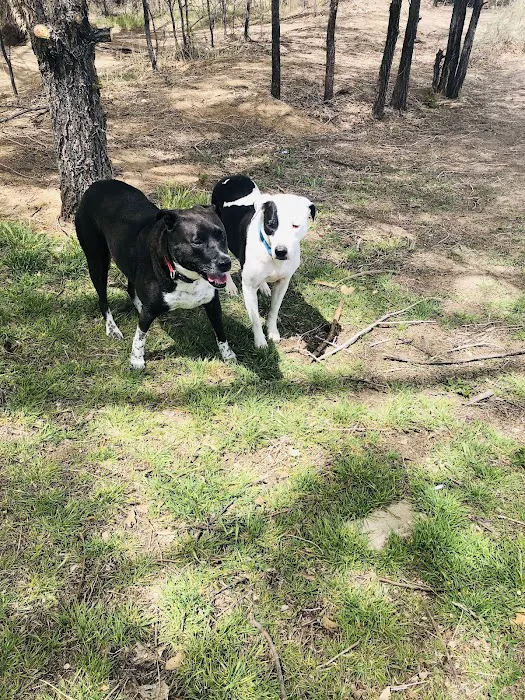 Rainbow Dog Park Parking 8