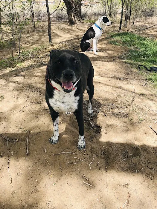 Rainbow Dog Park Parking 4