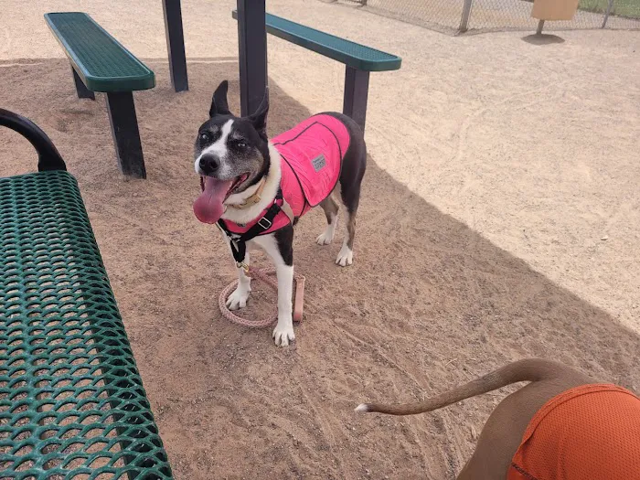 High Range Dog Park 7