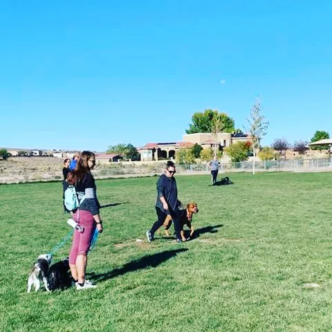 High Range Dog Park 3