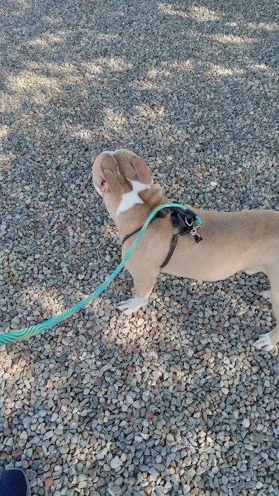 High Range Dog Park 8