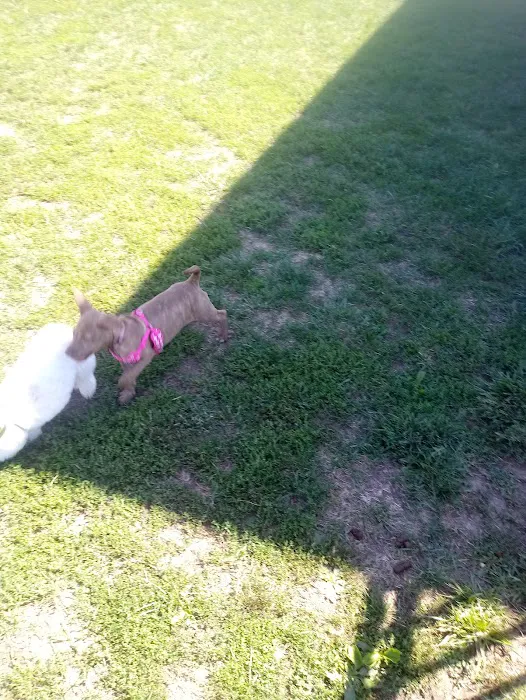 Scioto Audubon Dog Park 7