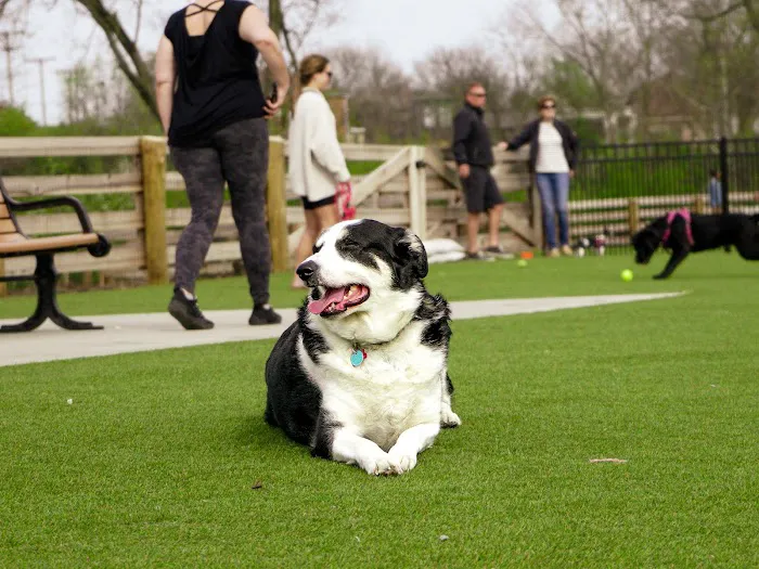 Scioto Audubon Dog Park 6