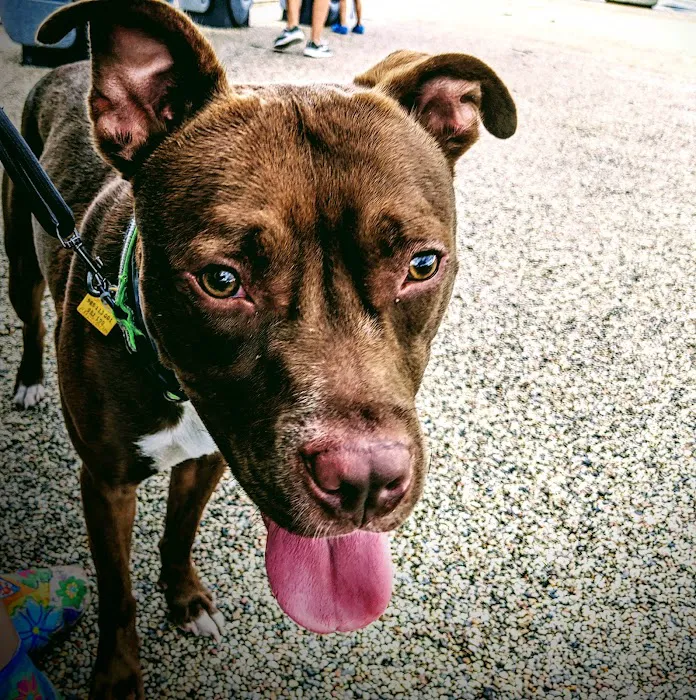 Scioto Audubon Dog Park 2