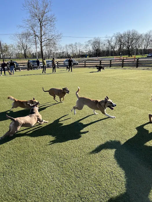 Scioto Audubon Dog Park 8