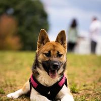 Wheeler Memorial Park ico