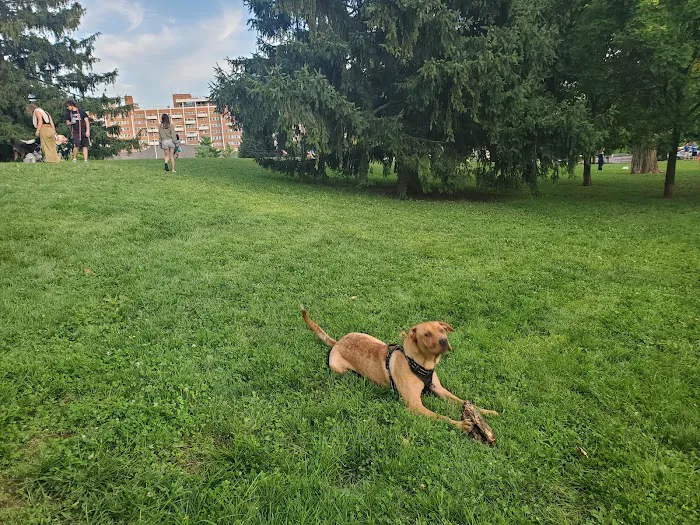 Wheeler Memorial Park 2