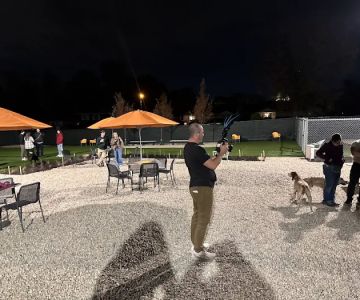 Bumble's Backyard