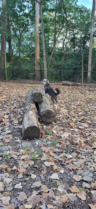 Schneider Dog Park 1