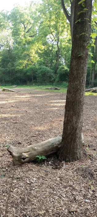 Schneider Dog Park 10