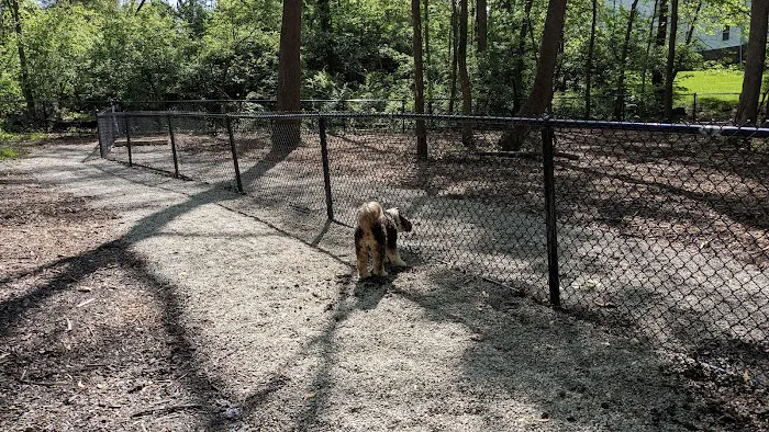 Schneider Dog Park 3