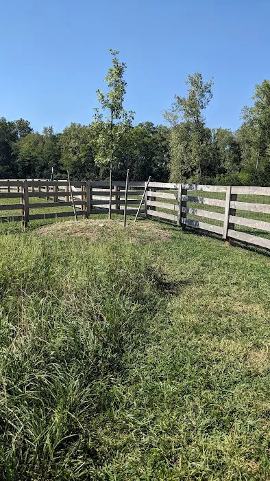 Quarry Trails Dog Park 1