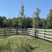 Quarry Trails Dog Park ico
