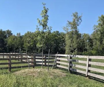 Quarry Trails Dog Park