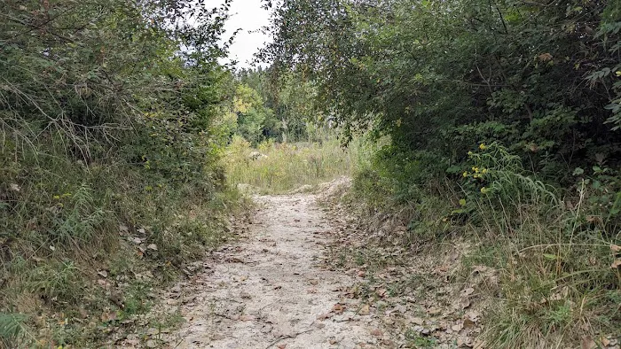 Quarry Trails Dog Park 2