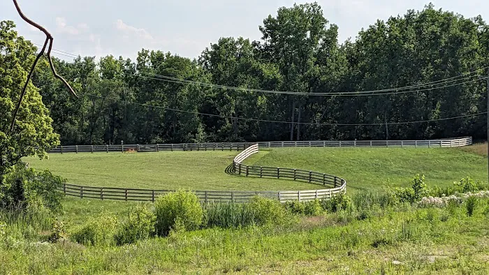 Quarry Trails Dog Park 6