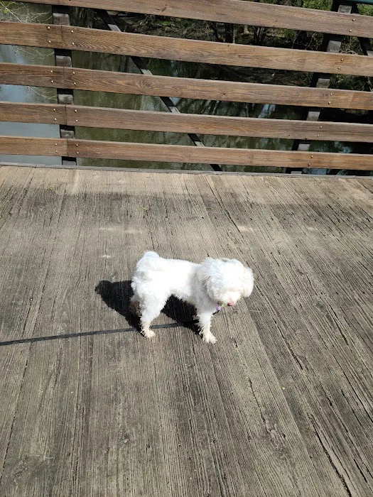 Three Creeks Park Dog Park 1