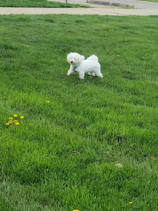 Three Creeks Park Dog Park 2