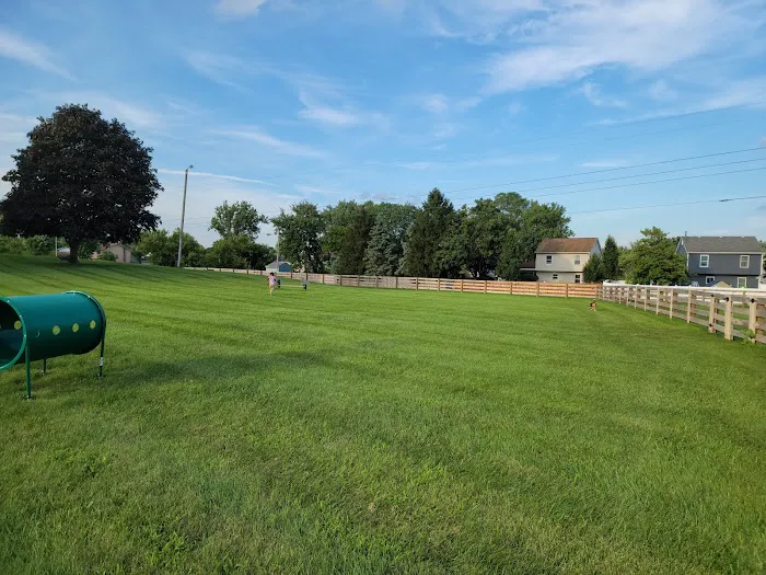 Bridlewood Dog Park 10