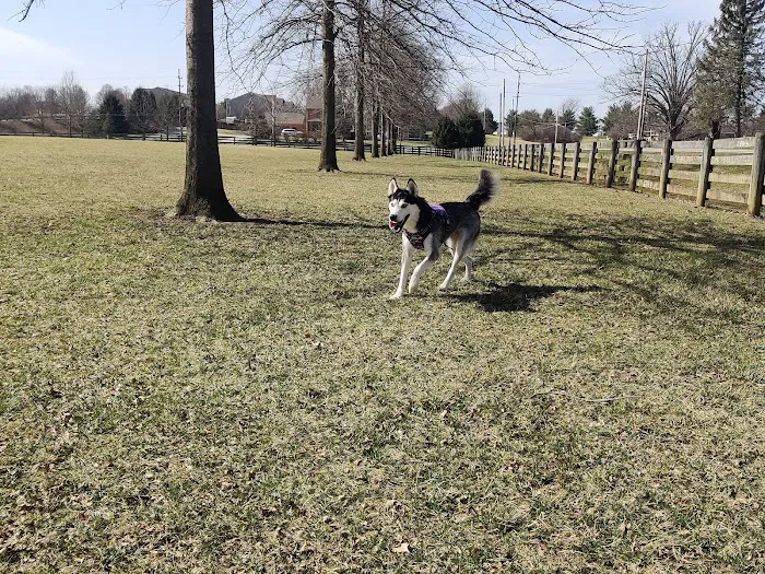 Bridlewood Dog Park 9