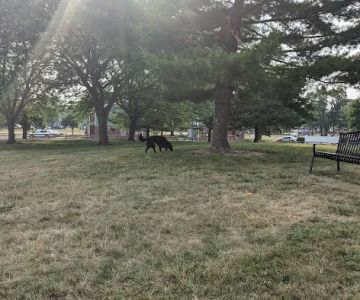 Bridlewood Dog Park