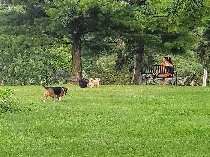 Bridlewood Dog Park 6
