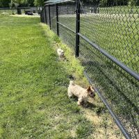 Breck Community Park - City Of Grove City ico