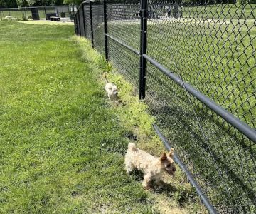 Breck Community Park - City Of Grove City