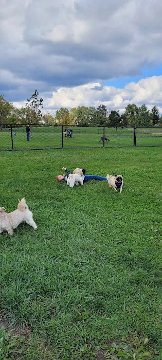 Breck Community Dog Park 2