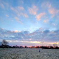 Breck Community Dog Park ico