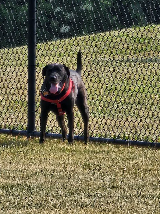 Breck Community Dog Park 3