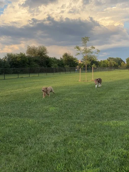 Breck Community Dog Park 10