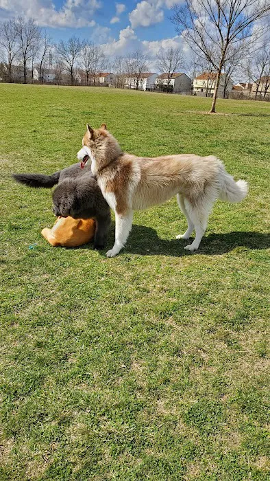 Breck Community Dog Park 6